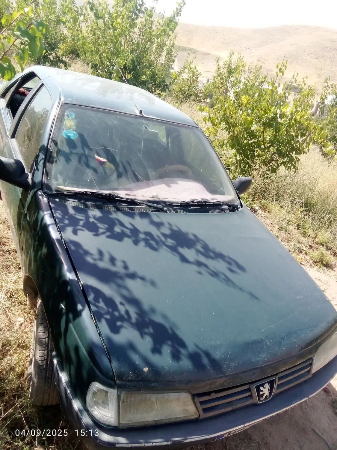 پژو آردی دوگانه سوز CNG - 1382