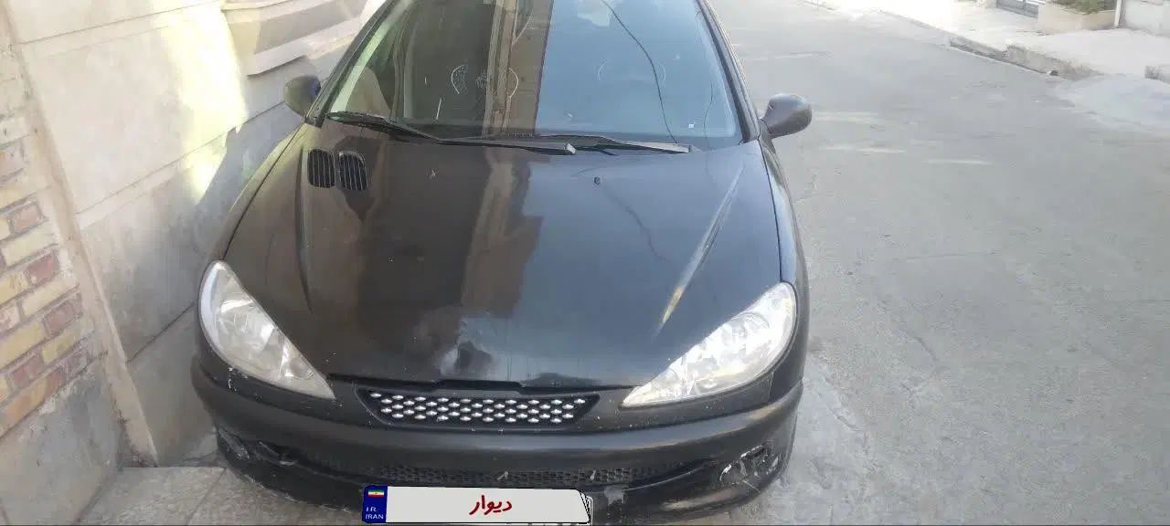 پژو 206 تیپ 2 - 1389