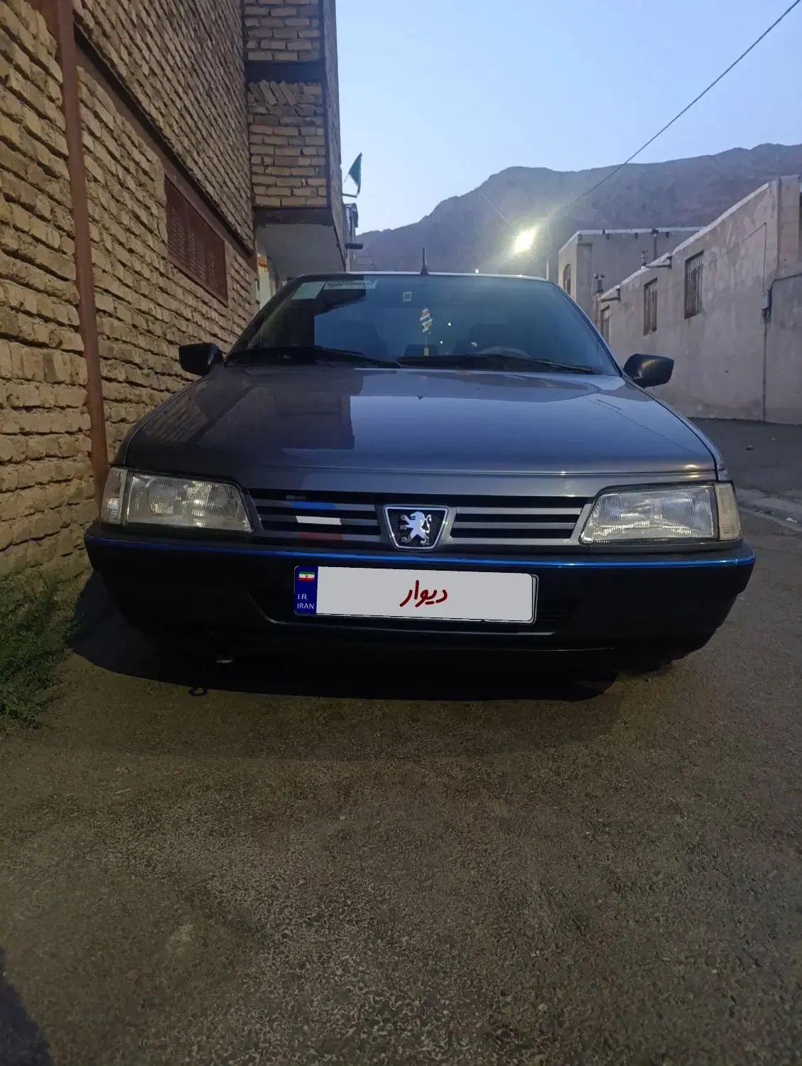 پژو 405 GLX - دوگانه سوز - 1394