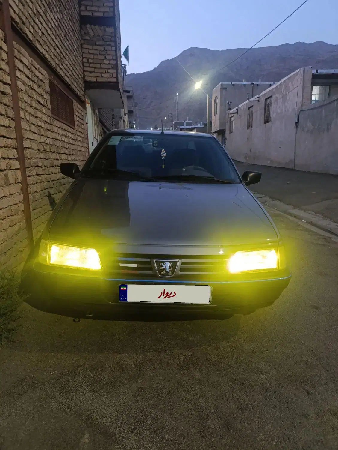 پژو 405 GLX - دوگانه سوز - 1394