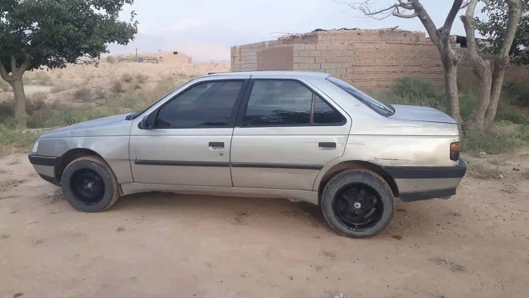خودرو پژو، 405 آگهی ann_20374794