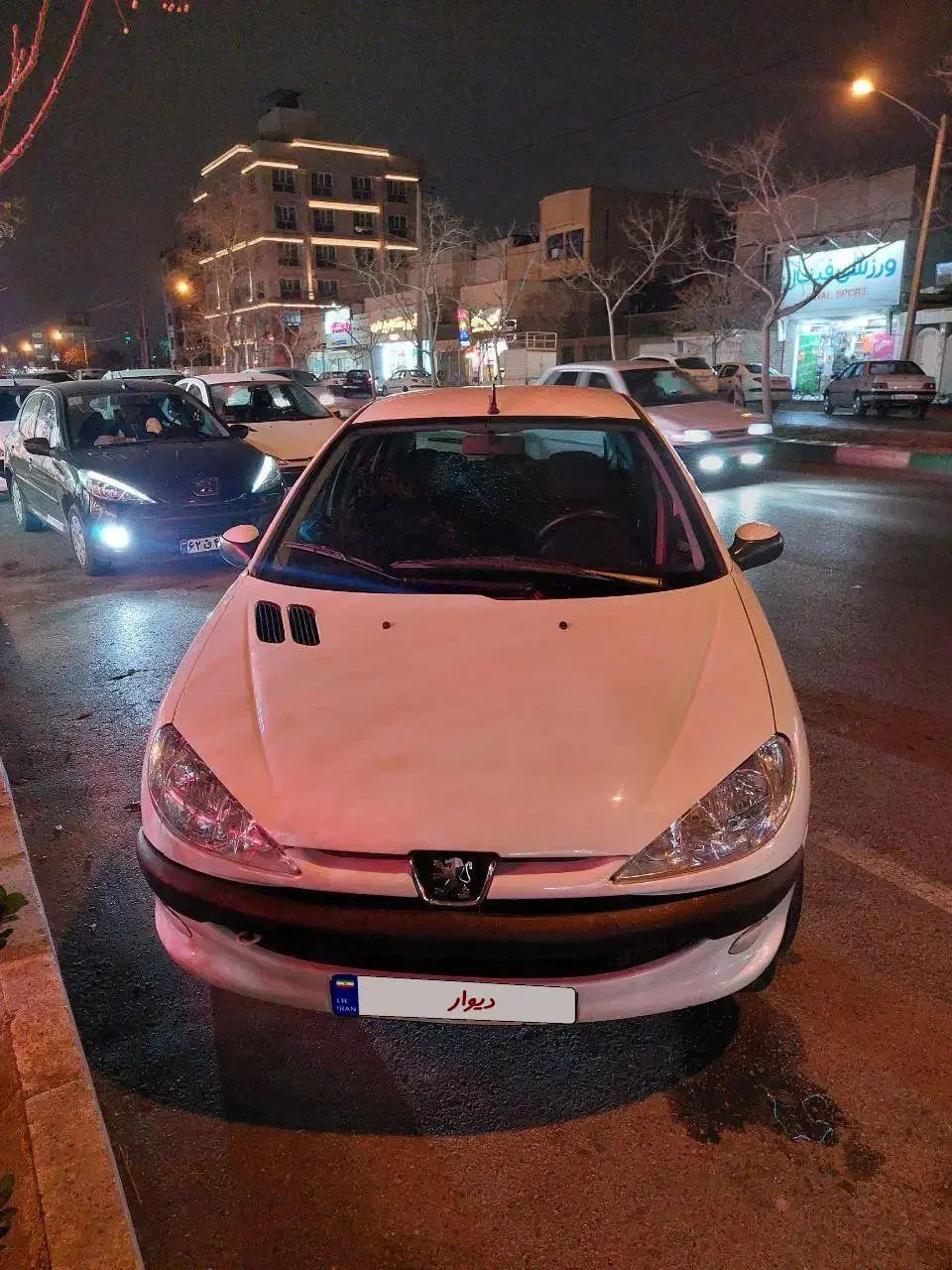 پژو 206 تیپ 5 - 1393