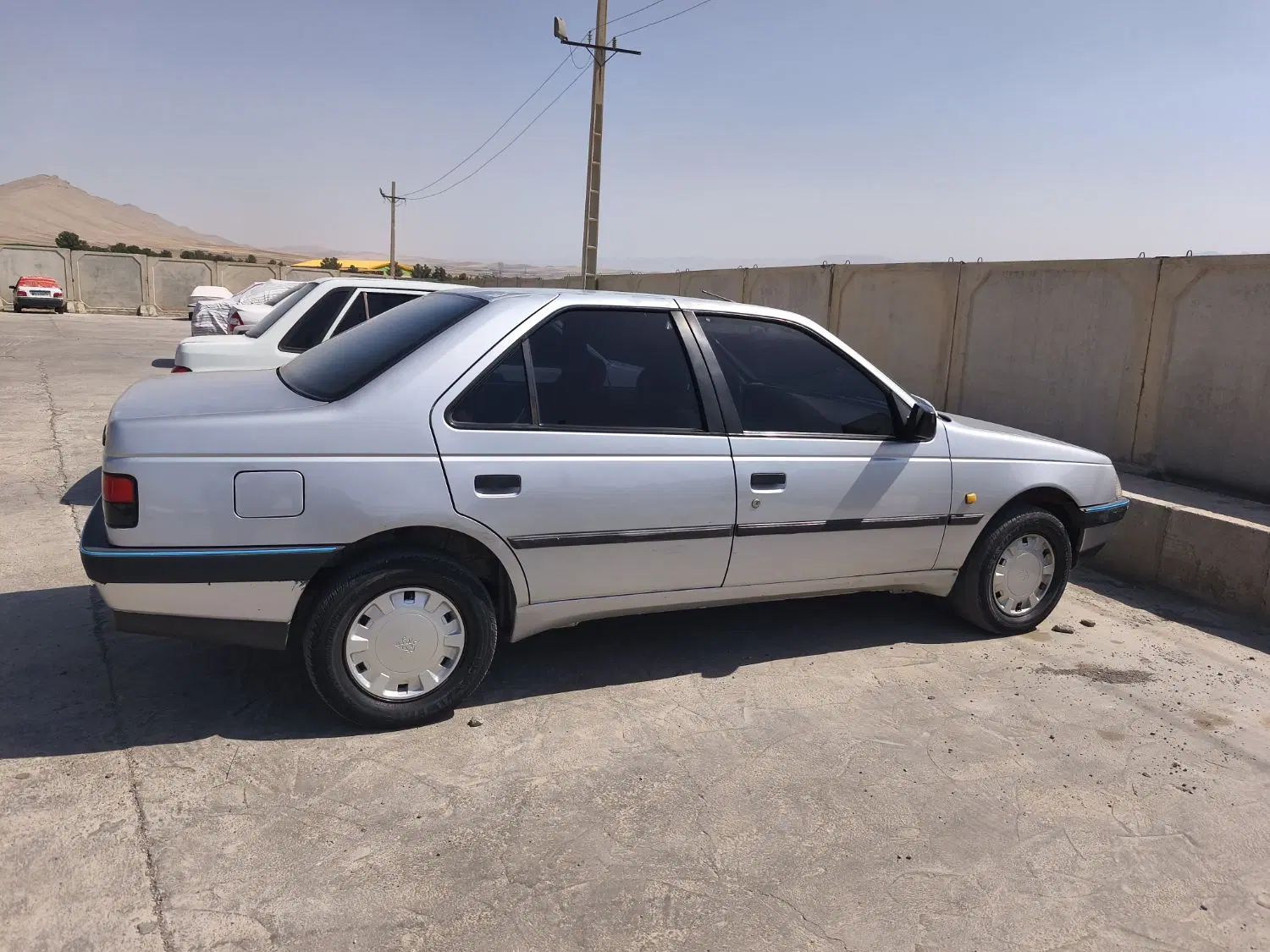 پژو 405 GLX - دوگانه سوز - 1391