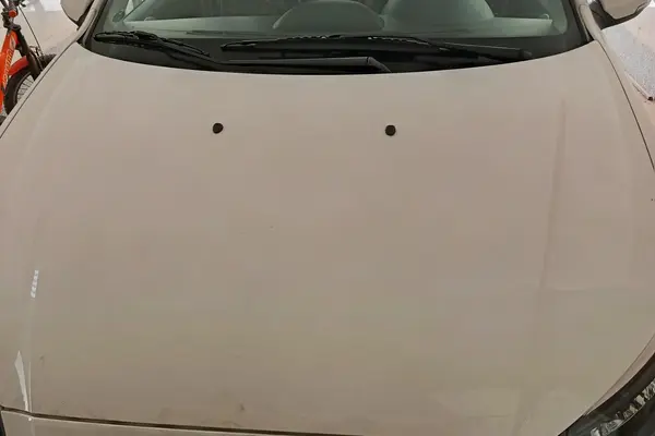 رانا پلاس سقف فلز ESP - 1403