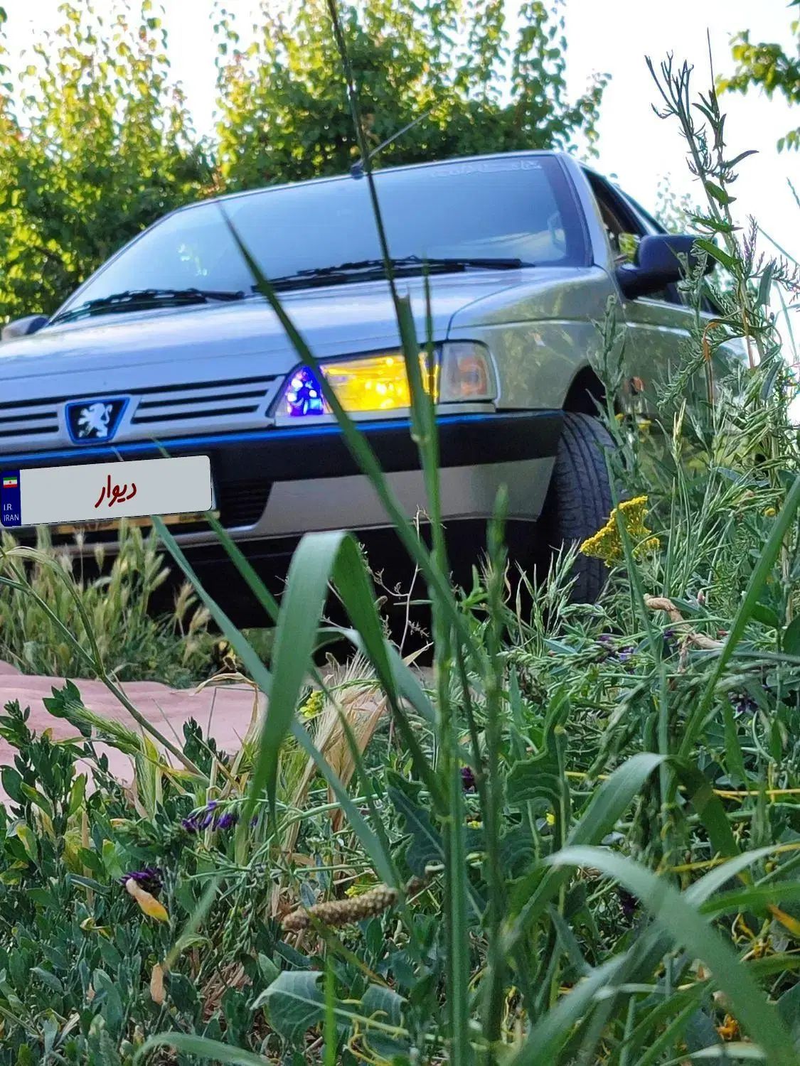 پژو 405 GLX - دوگانه سوز - 1390