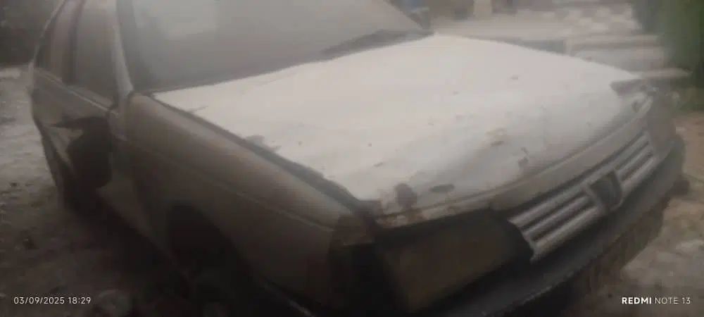 پژو آردی RDI - 1382