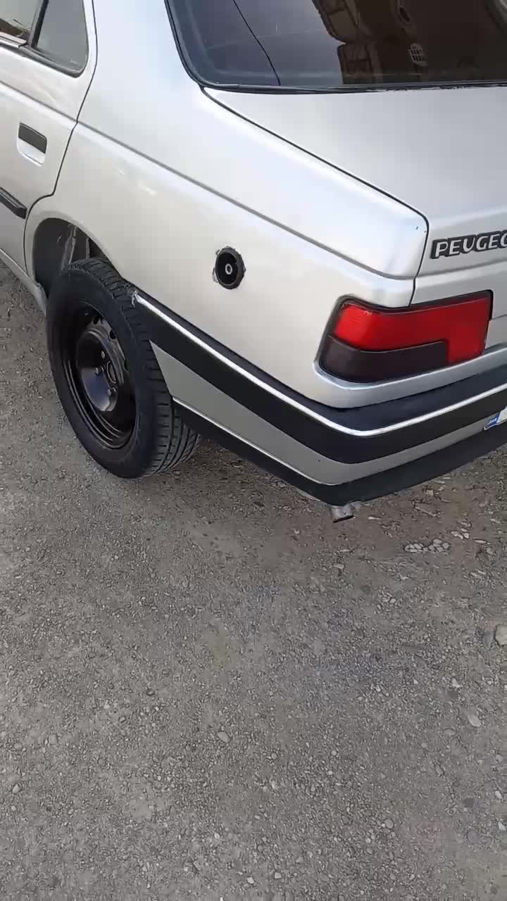 پژو 405 GLX - دوگانه سوز - 1389