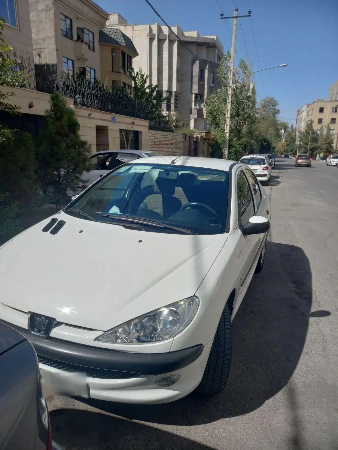 پژو ۲۰۶ صندوق دار v8 - 1399