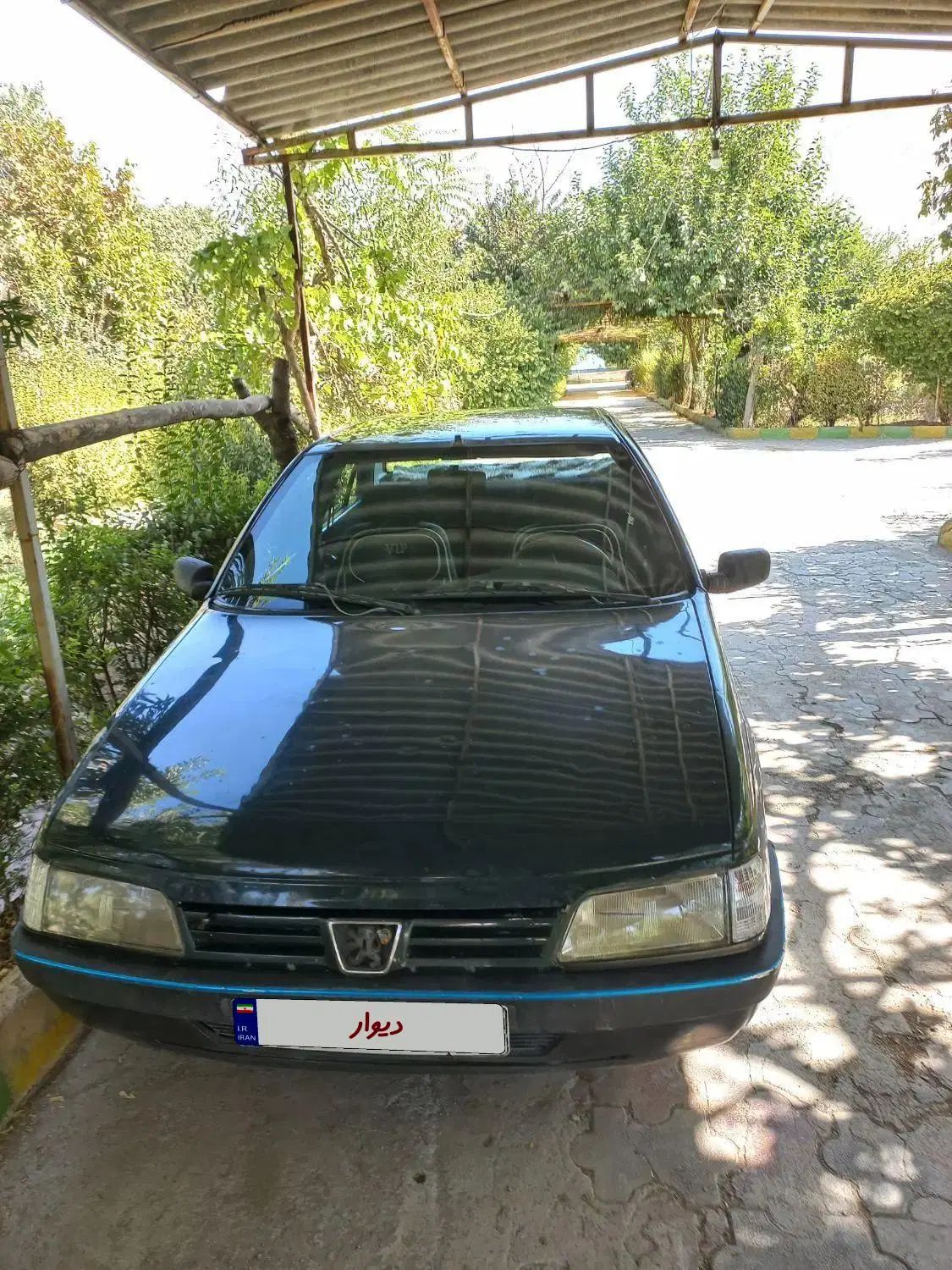 پژو آردی دوگانه سوز CNG - 1383