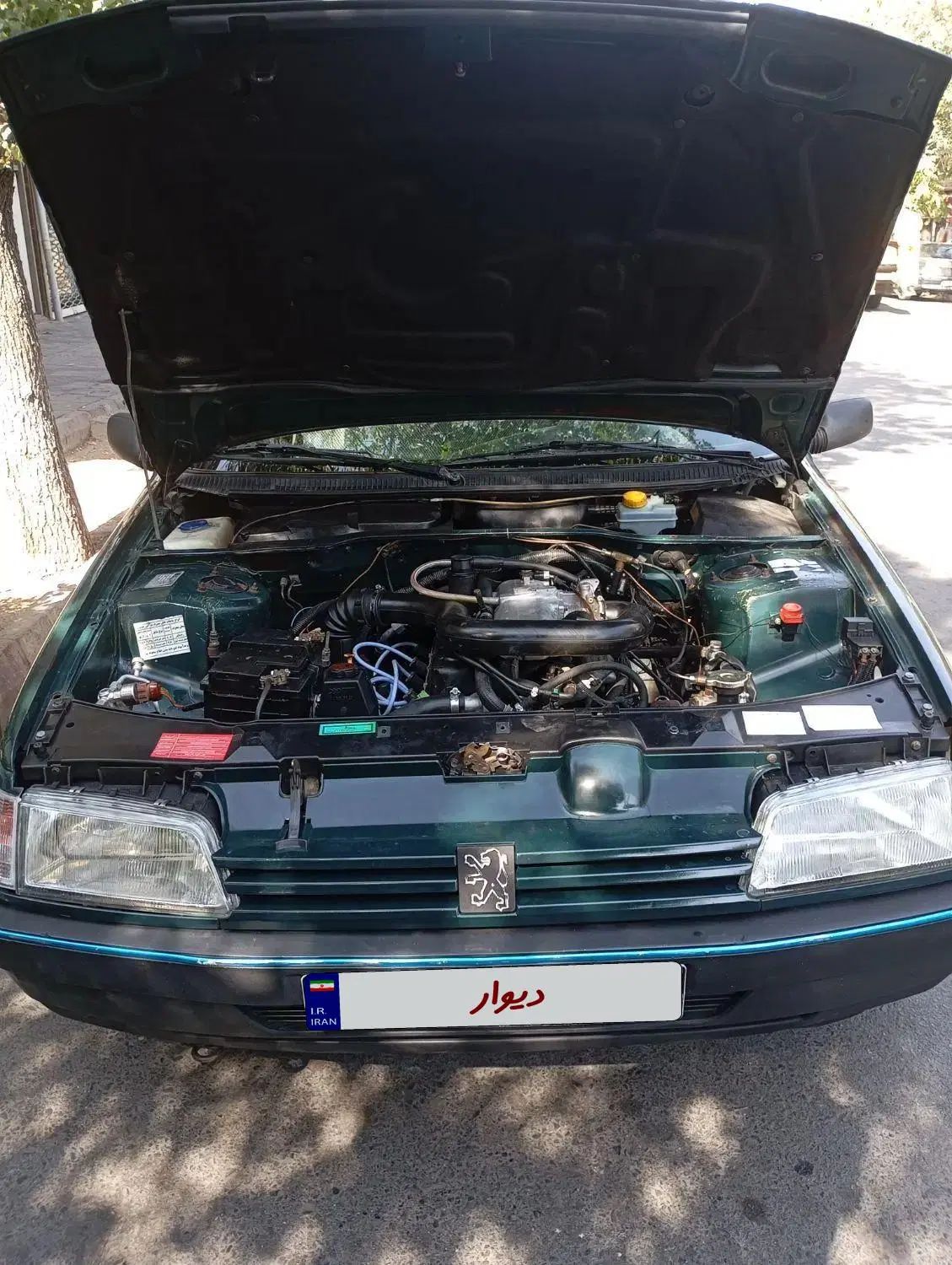 پژو آردی دوگانه سوز CNG - 1385