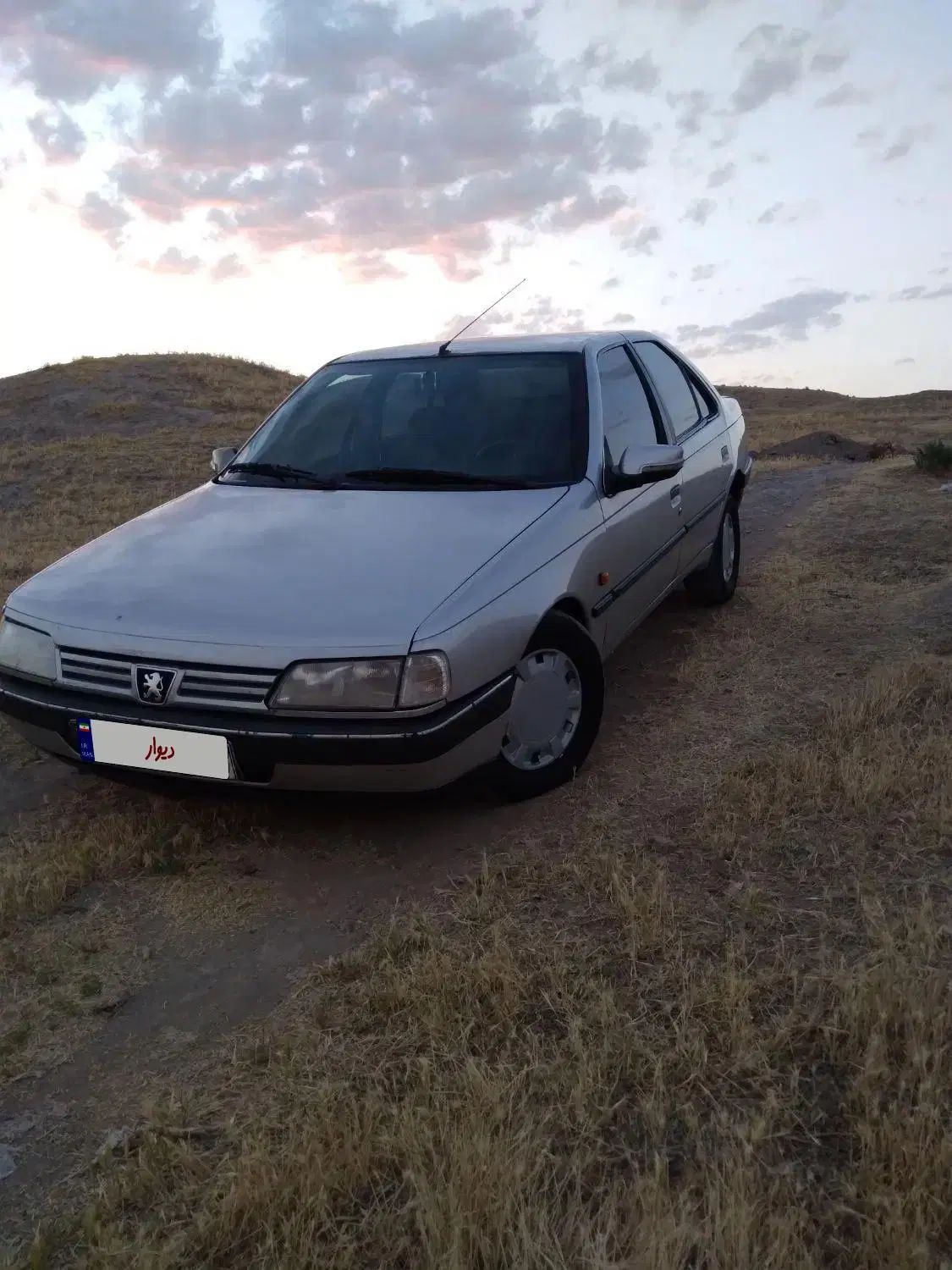 پژو 405 GLX - 1384