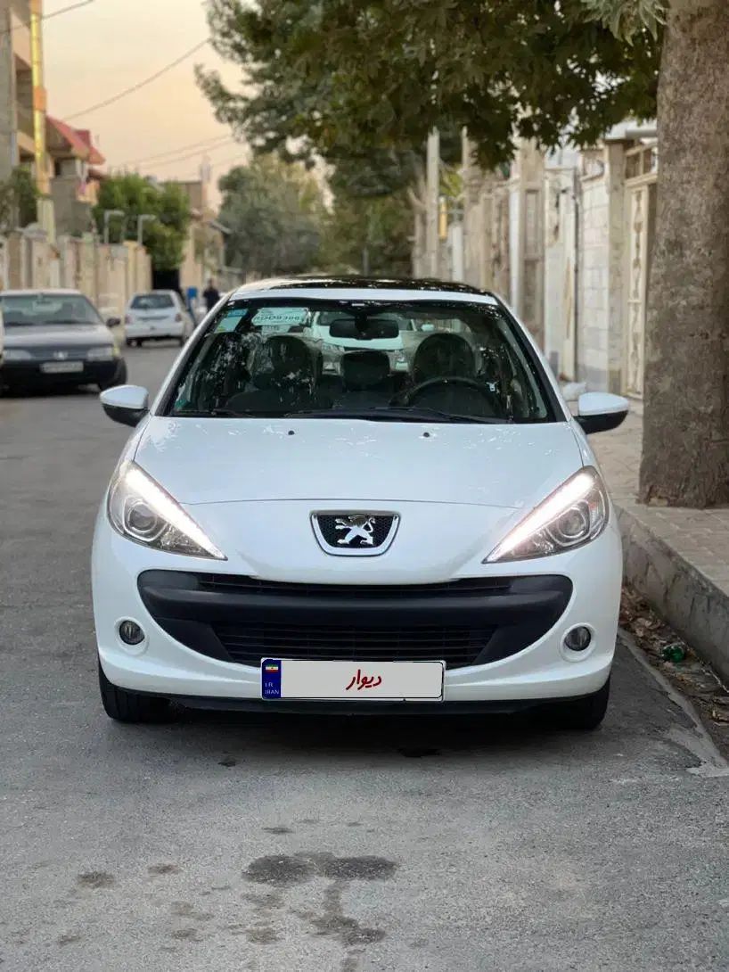 خودرو پژو، 207 آگهی ann_20380045