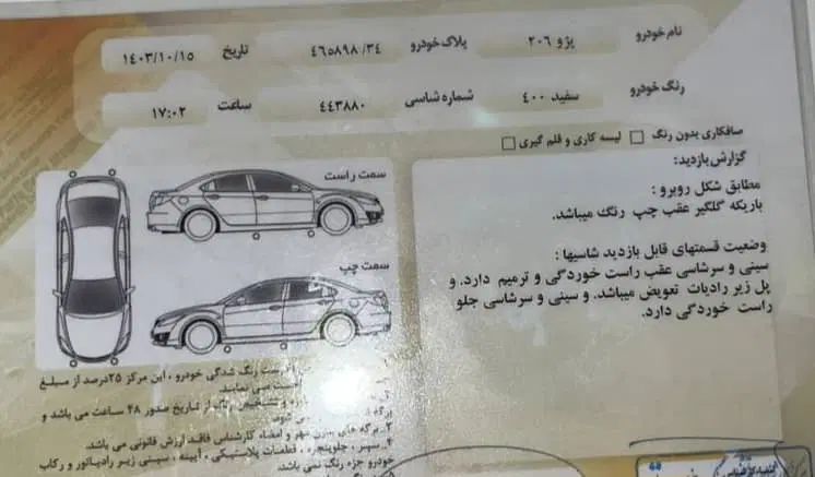 پژو 206 تیپ 3 - 1391
