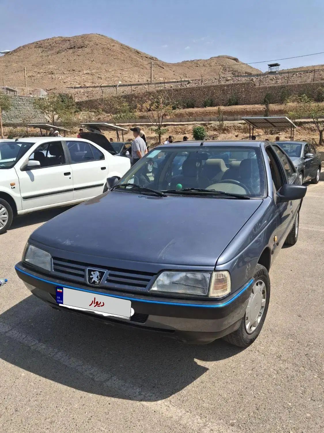 خودرو پژو، 405 آگهی ann_20380272
