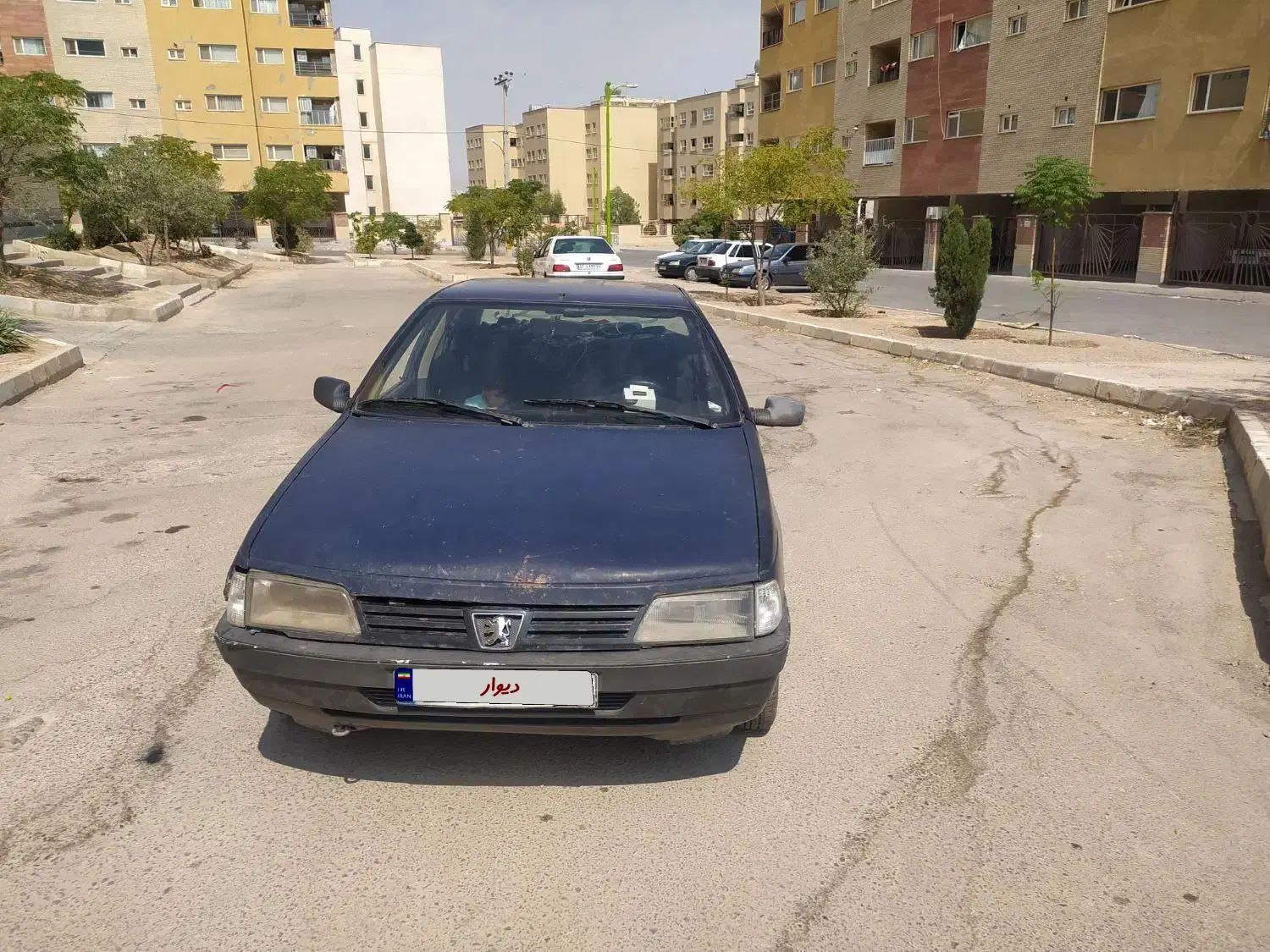 پژو آردی دوگانه سوز CNG - 1385