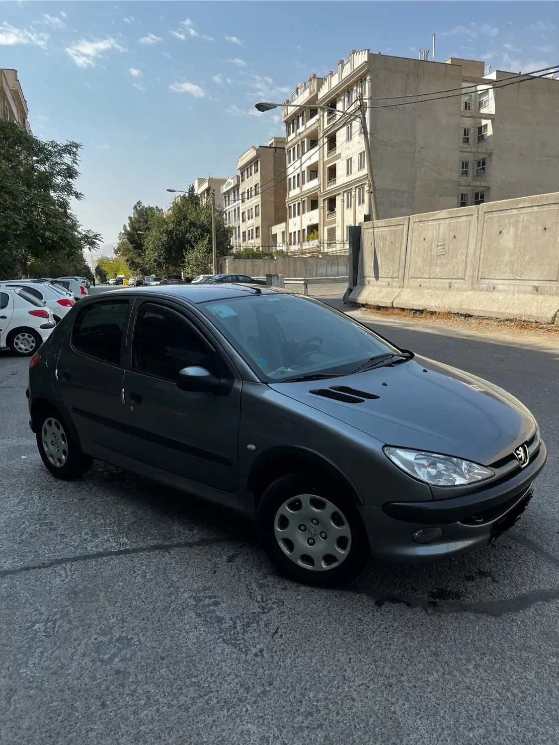 پژو 206 تیپ 5 - 1397