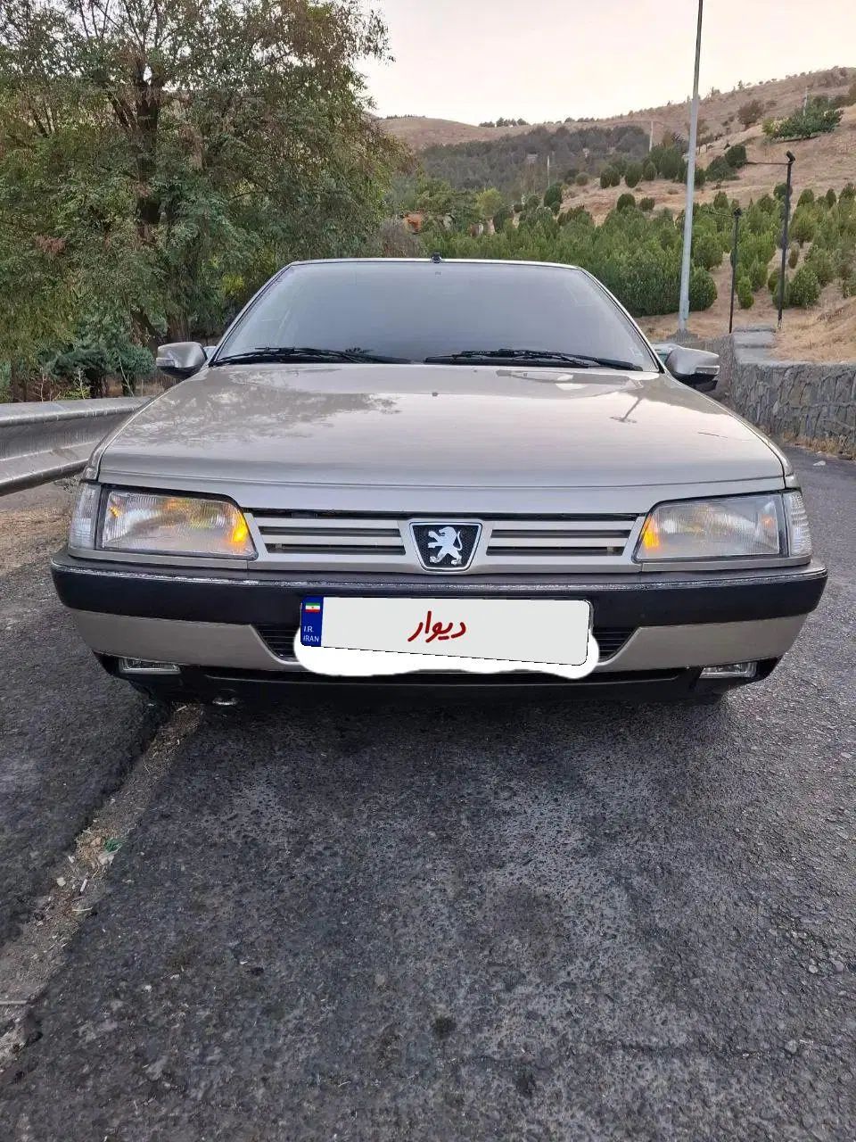 پژو 405 GLX - 1383