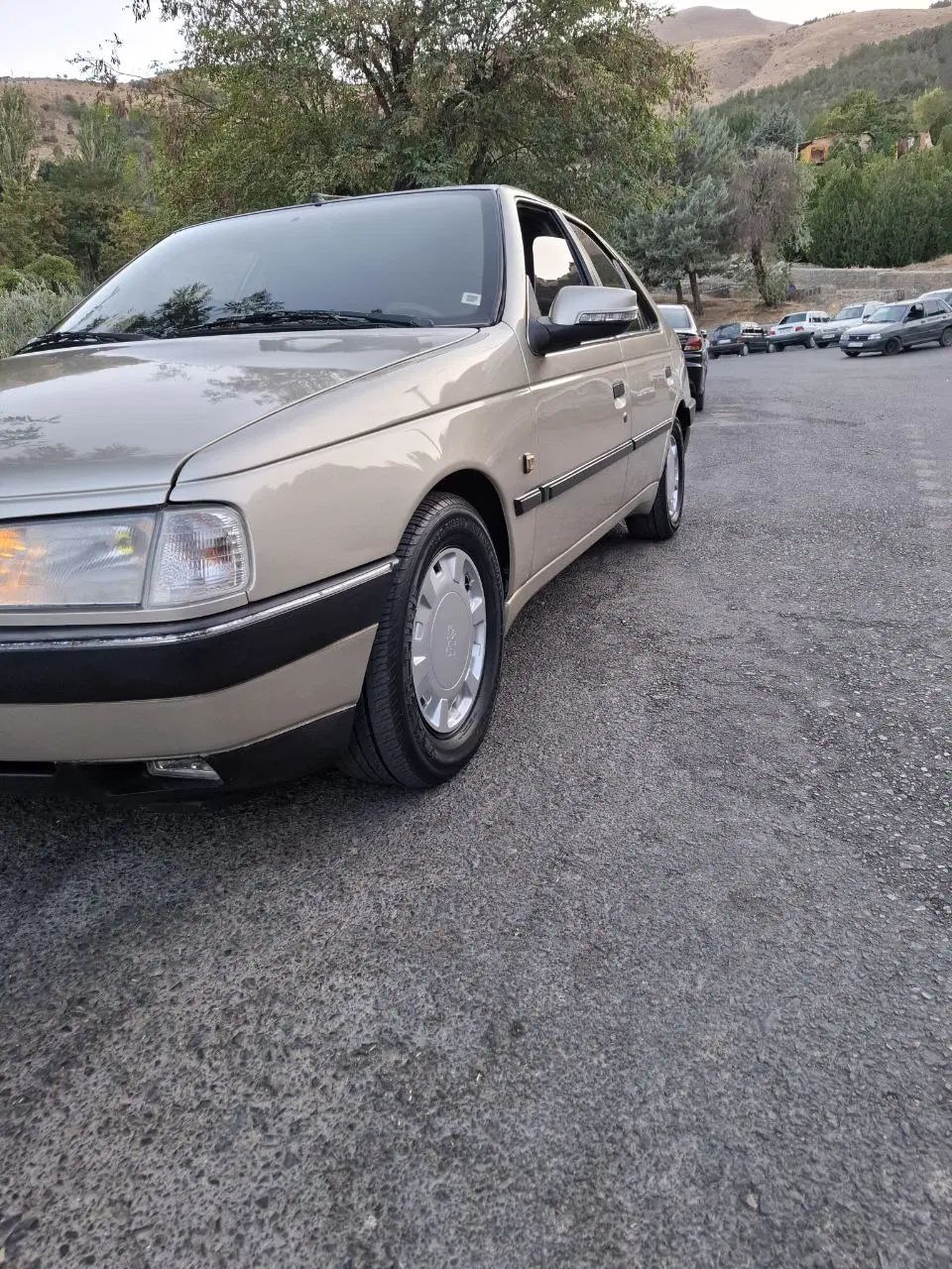 پژو 405 GLX - 1383