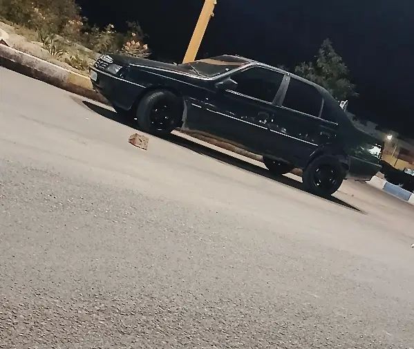 پژو 405 GLX - دوگانه سوز - 1381