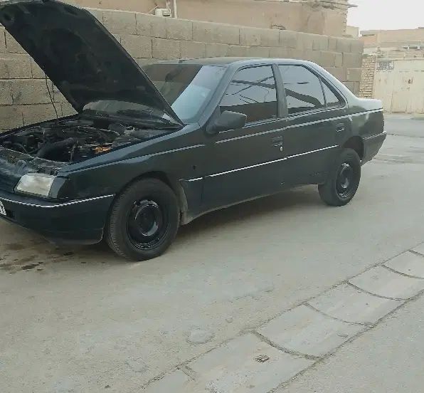 پژو 405 GLX - دوگانه سوز - 1381