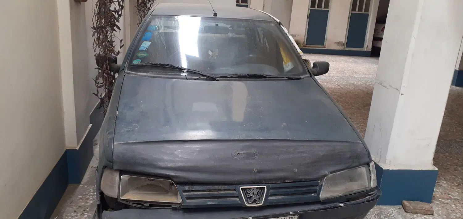 پژو آردی دوگانه سوز CNG - 1384