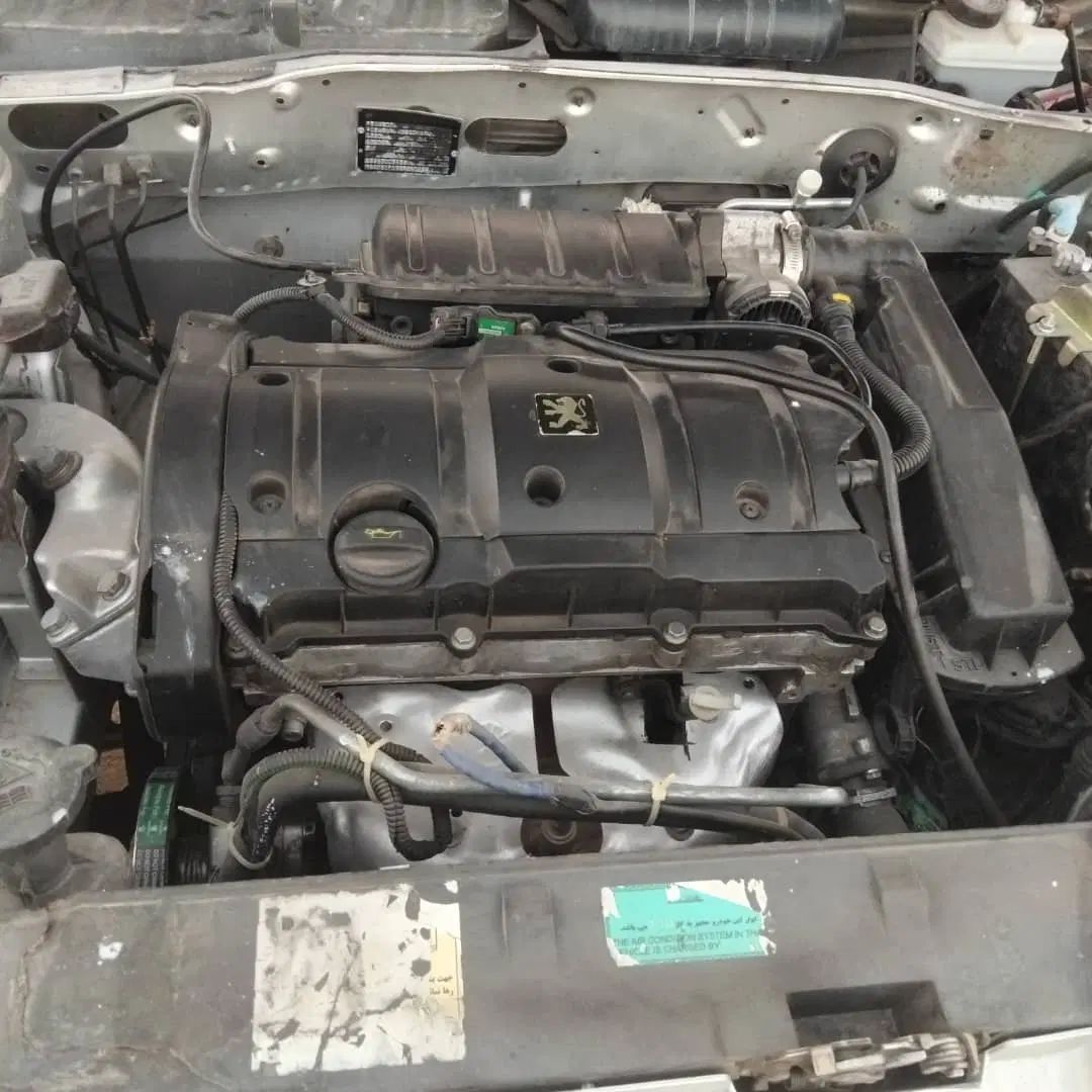 پژو 405 بنزینی GLX - TU5 - 1390