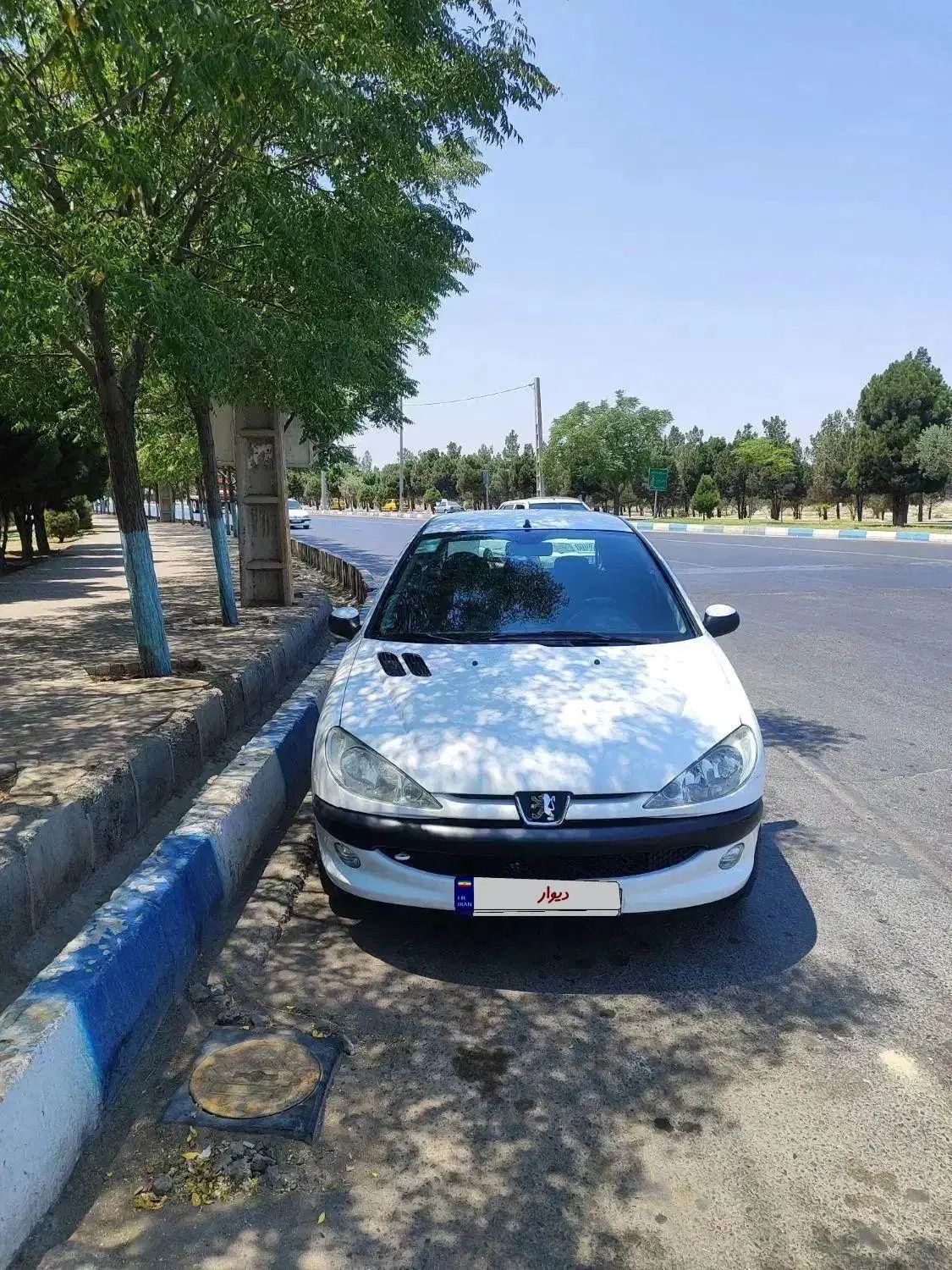 پژو 206 تیپ 5 - 1399