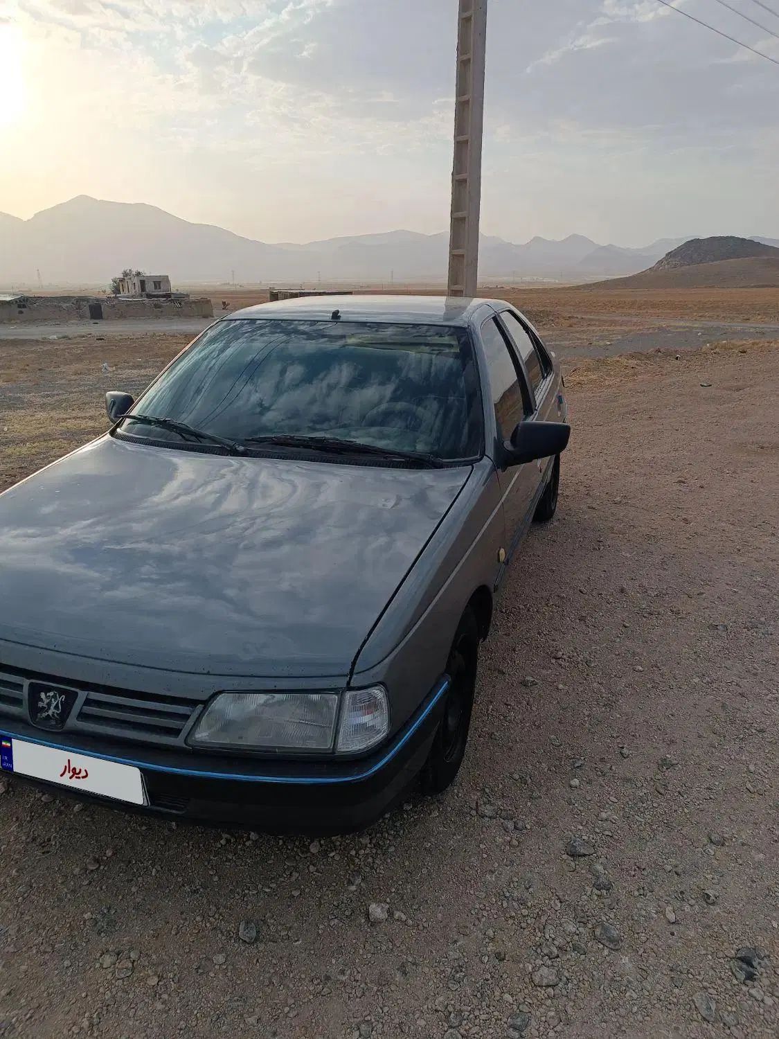 پژو 405 GLX - 1391