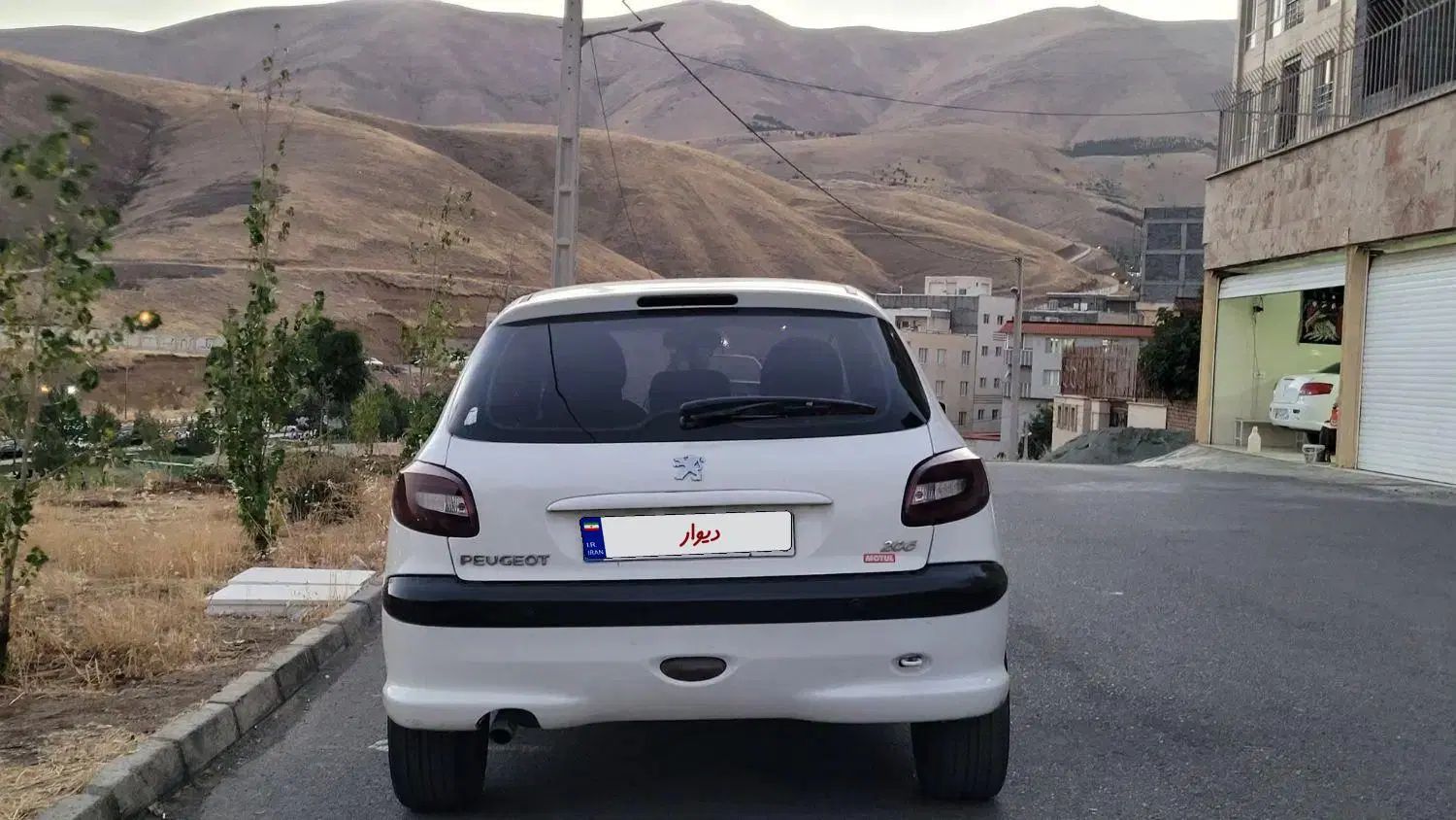 پژو 206 تیپ 2 - 1394
