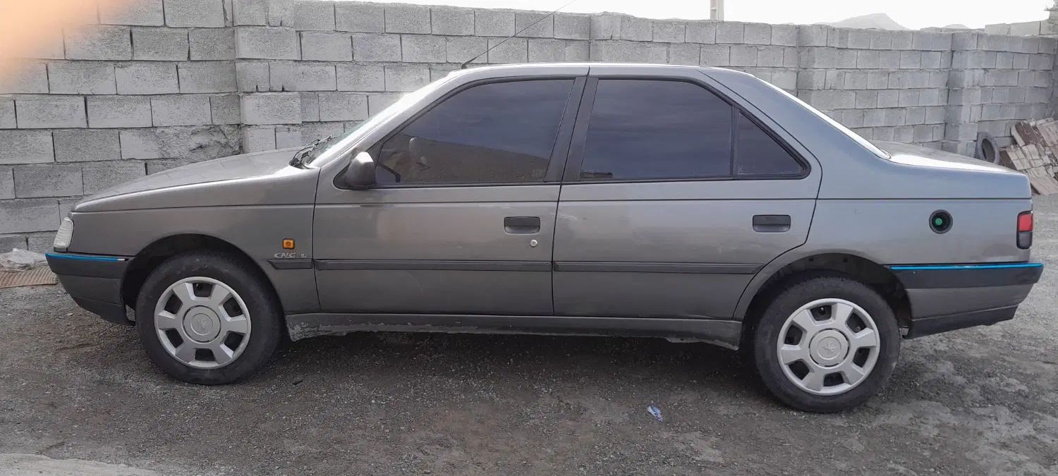 پژو 405 GLX - دوگانه سوز - 1391