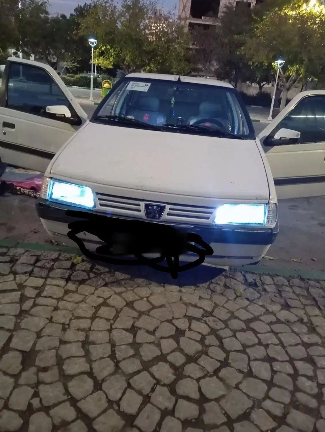 پژو آردی دوگانه سوز CNG - 1381