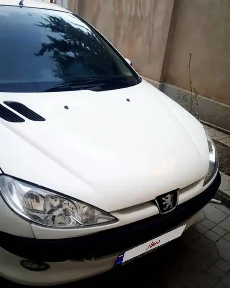 پژو ۲۰۶ صندوق دار v8 - 1389