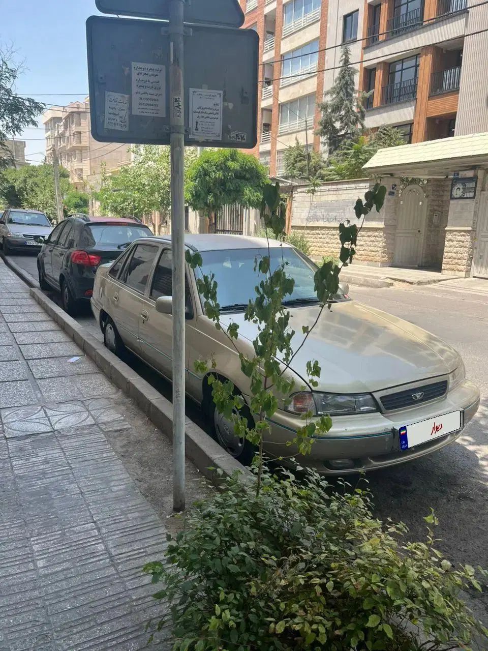 دوو سیلو سدان - 1381