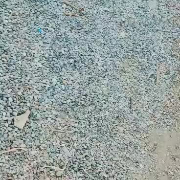 خودرو پژو، 206 آگهی ann_20390646
