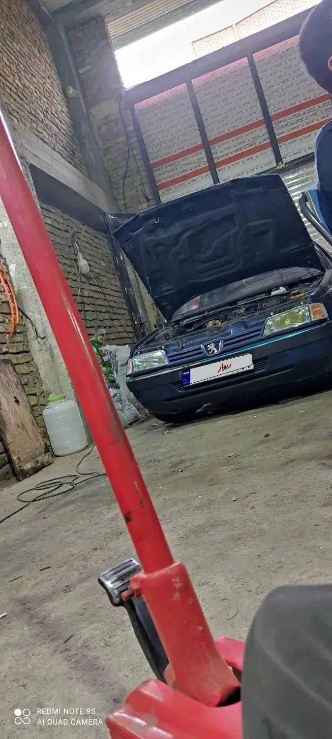 خودرو پژو، 405 آگهی ann_20391269