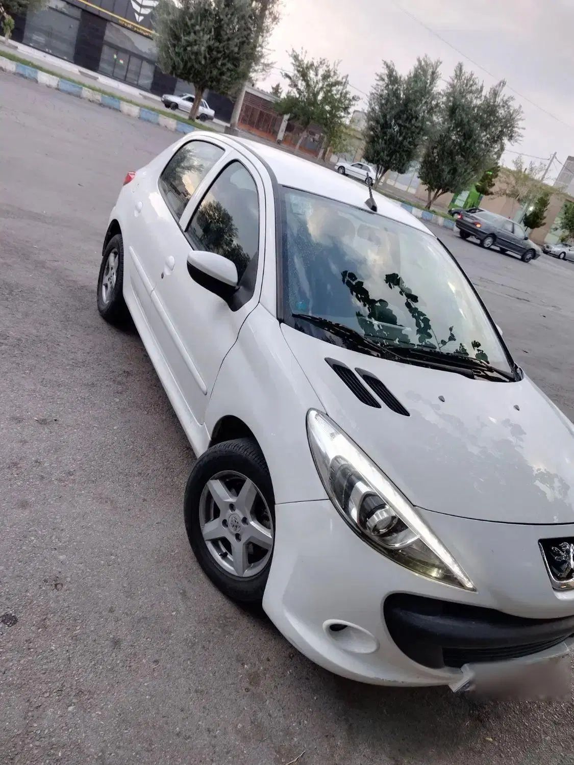 خودرو پژو، 207 آگهی ann_20391329
