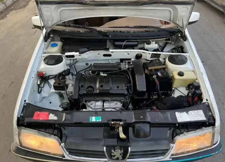 پژو 405 بنزینی GLX - TU5 - 1391