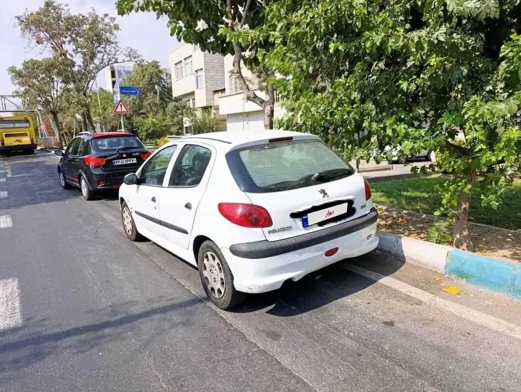 پژو 206 تیپ 5 - 1394