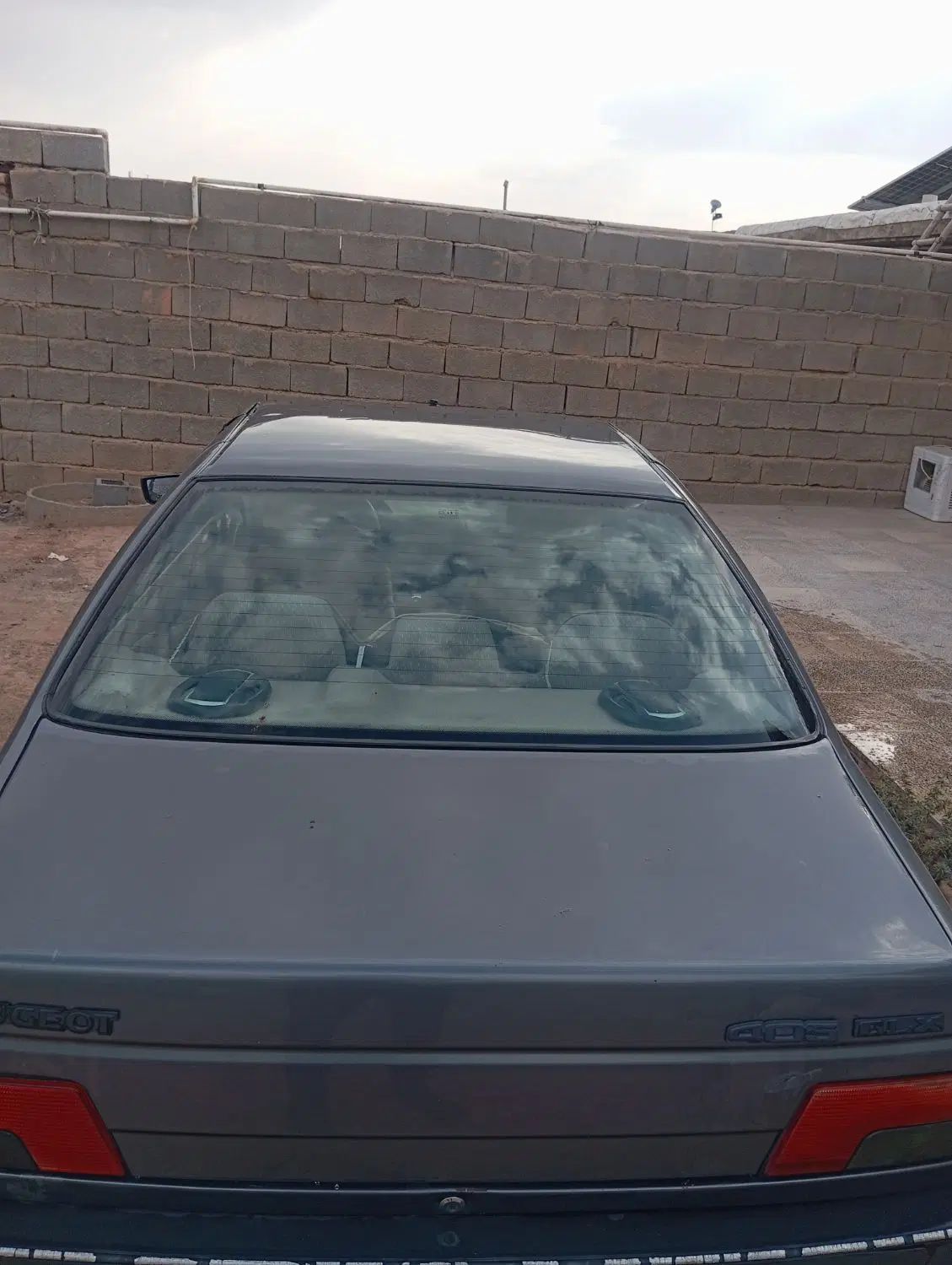 پژو 405 GLX - دوگانه سوز - 1394