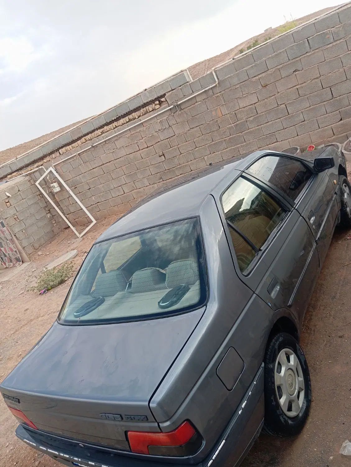 پژو 405 GLX - دوگانه سوز - 1394