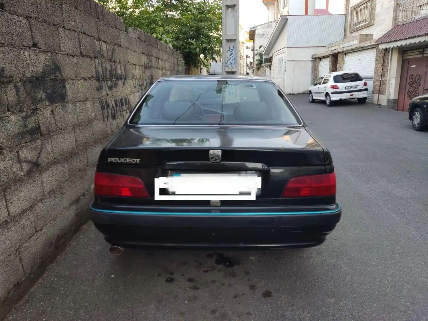 پژو پارس دوگانه سوز - 1391