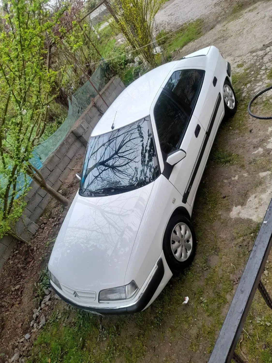 سیتروئن زانتیا SX - 1386