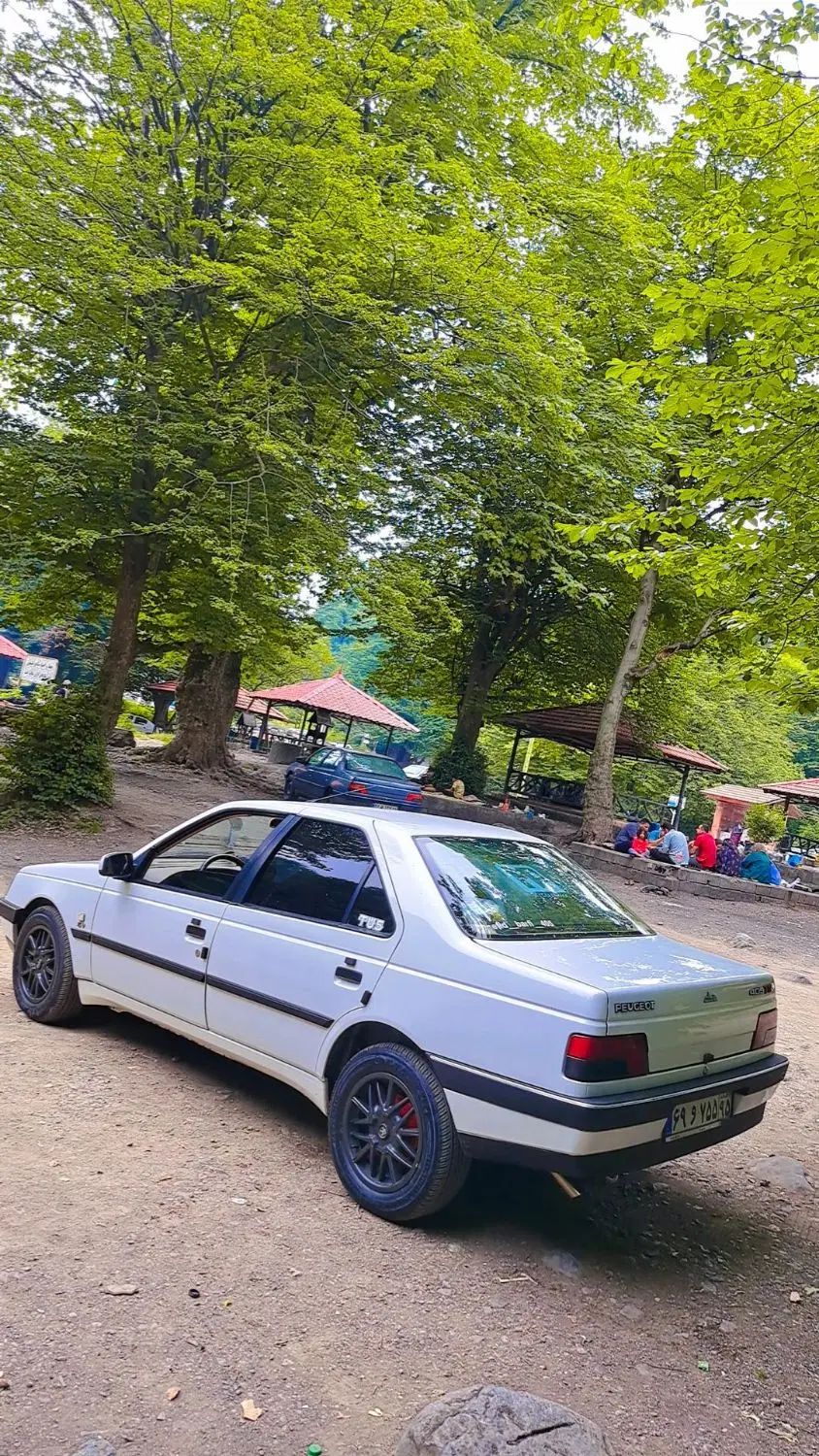 پژو 405 SLX بنزینی TU5 - 1391