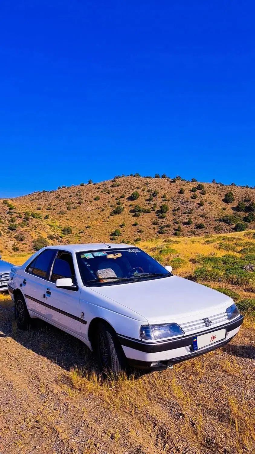 پژو 405 SLX بنزینی TU5 - 1391