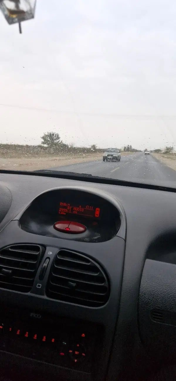 پژو 206 تیپ 2 - 1397