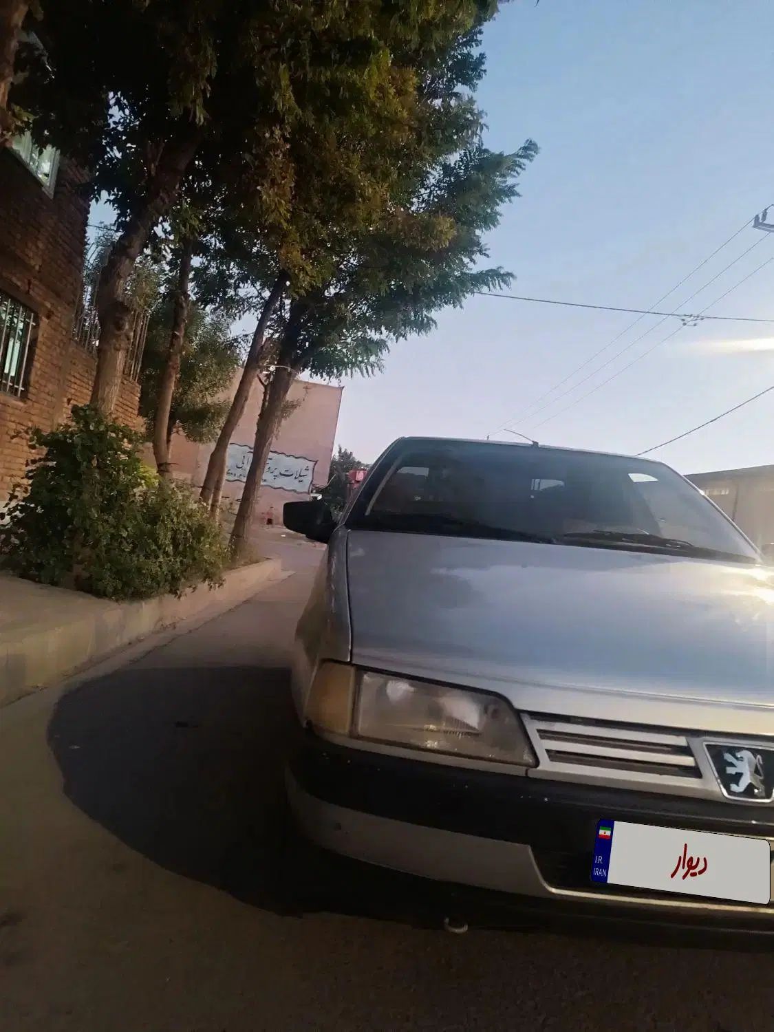 پژو 405 GLX - دوگانه سوز - 1391