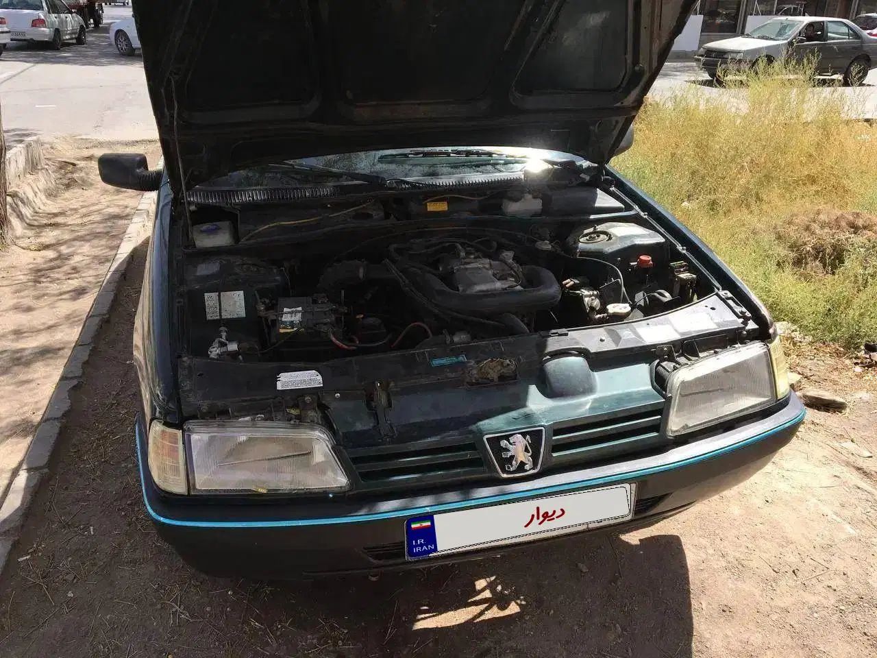 پژو آردی دوگانه سوز CNG - 1384
