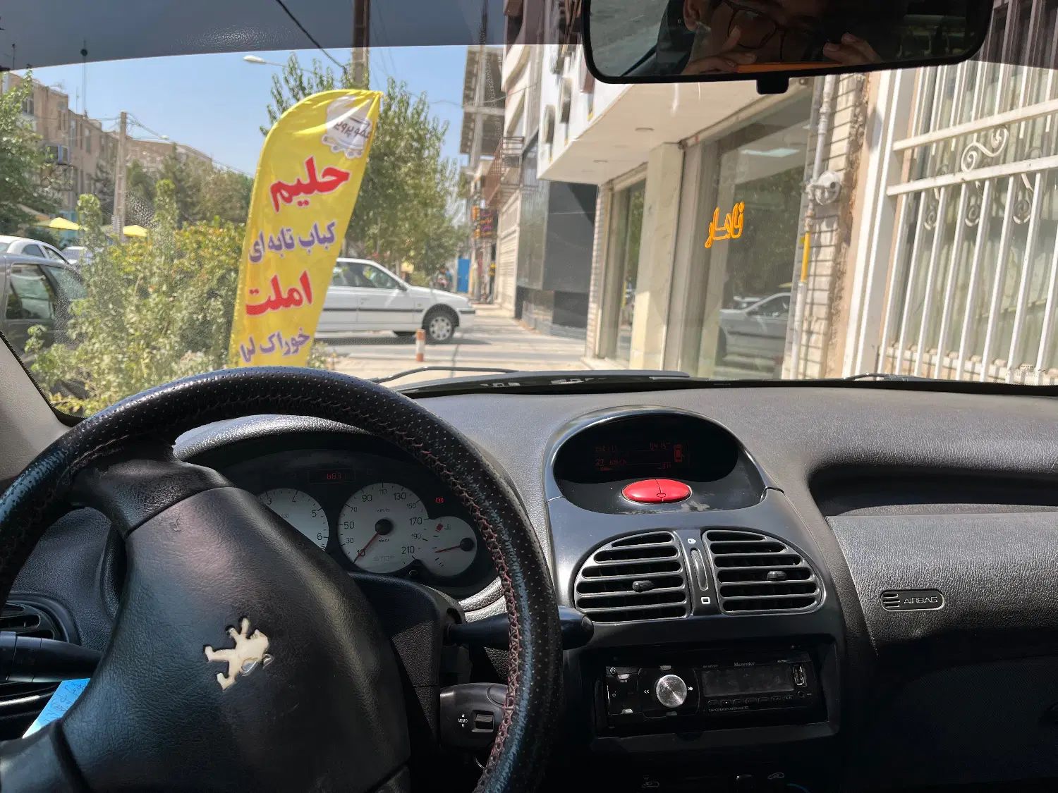 پژو 206 تیپ 5 - 1394