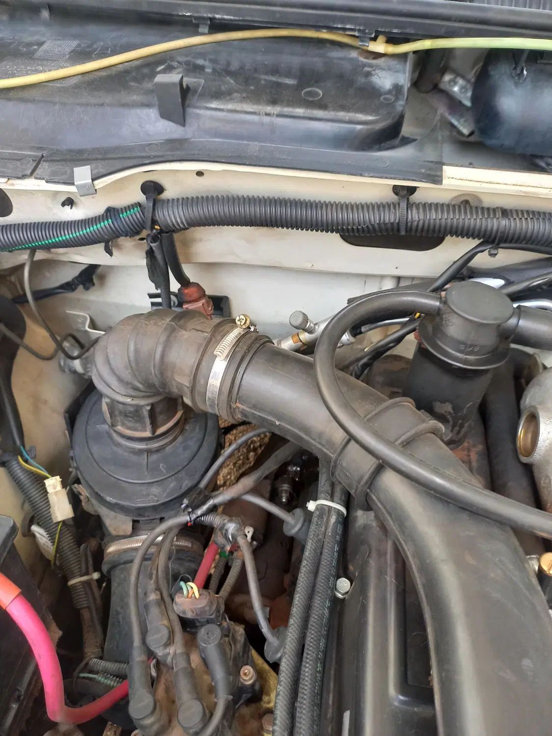 پژو آردی دوگانه سوز CNG - 1382