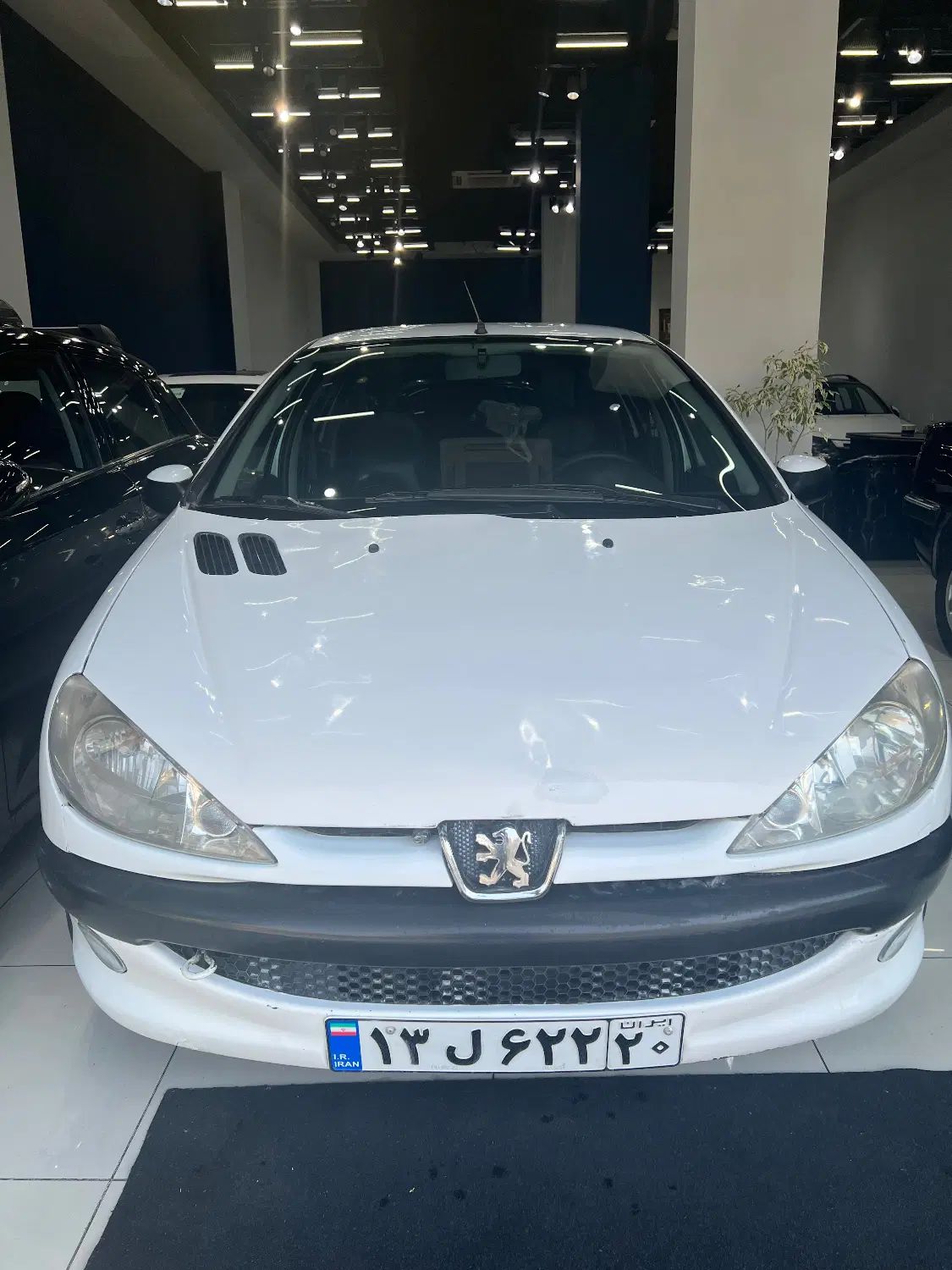 پژو ۲۰۶ صندوق دار v8 - 1393